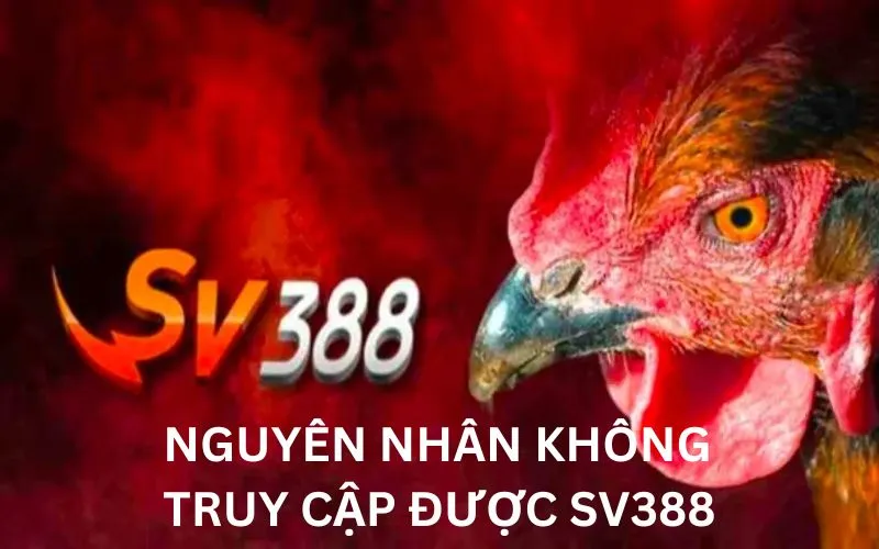 Tìm hiểu nguyên nhân để xác định cách vào SV388 không bị chặn phù hợp